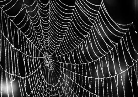 .NET Full Stack: Your 2026 Guide to Modern Web Development