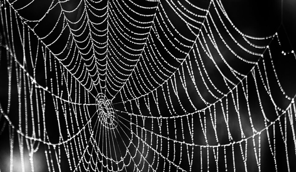 .NET Full Stack: Your 2026 Guide to Modern Web Development