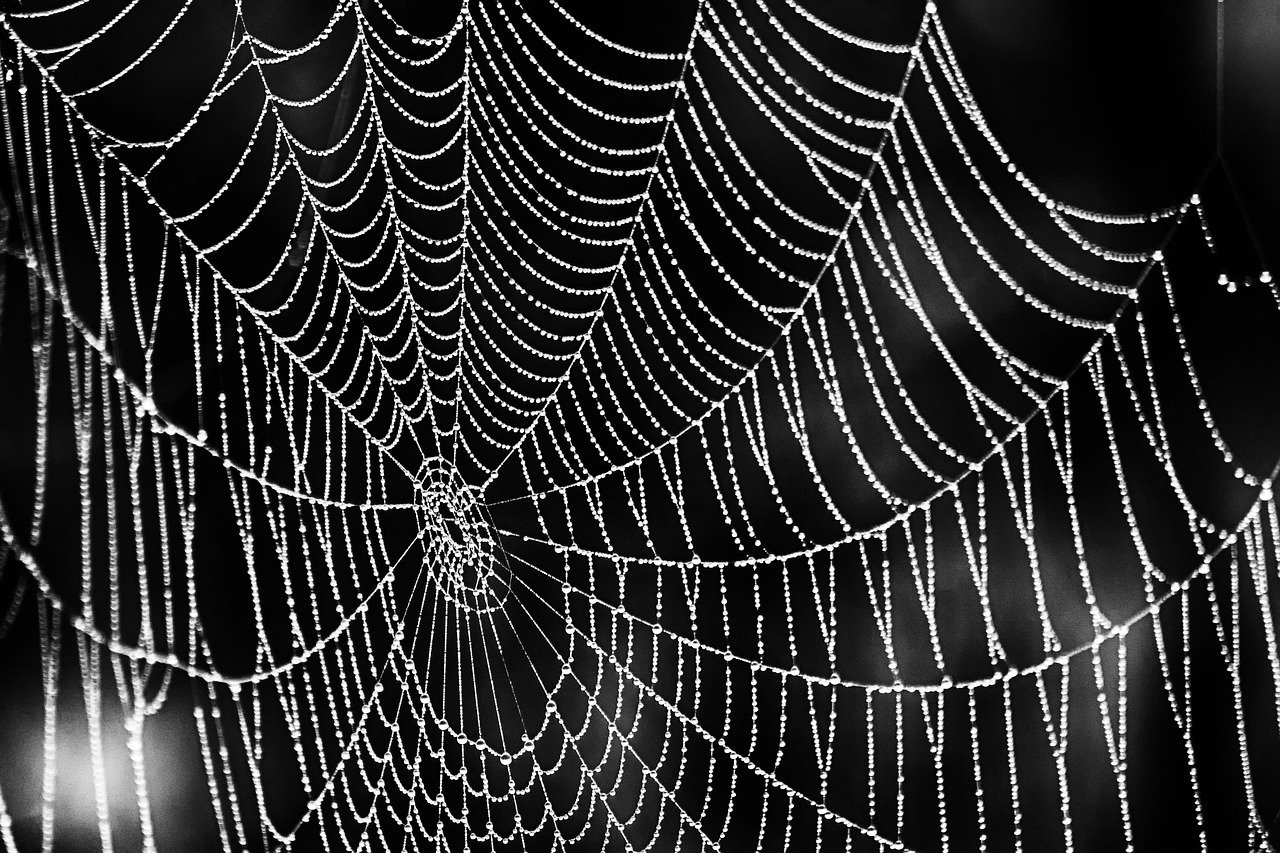 .NET Full Stack: Your 2026 Guide to Modern Web Development