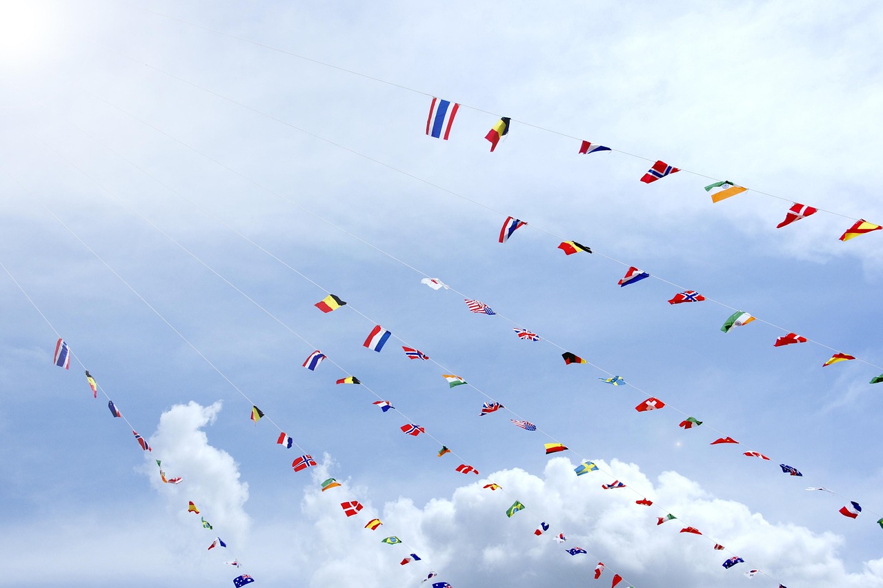 Which of the Following Statements is True? Your 2026 Guide