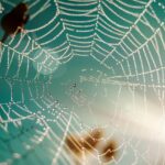 Python full stack web development