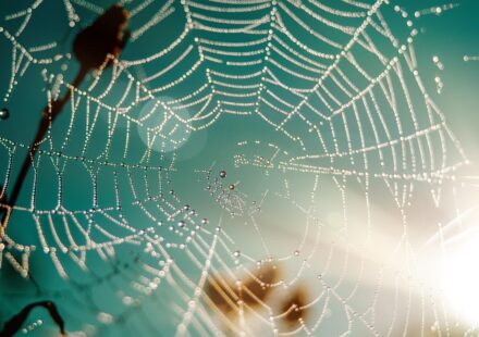 Python full stack web development