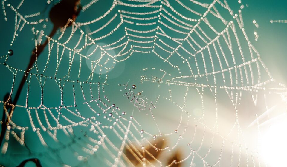 Python full stack web development