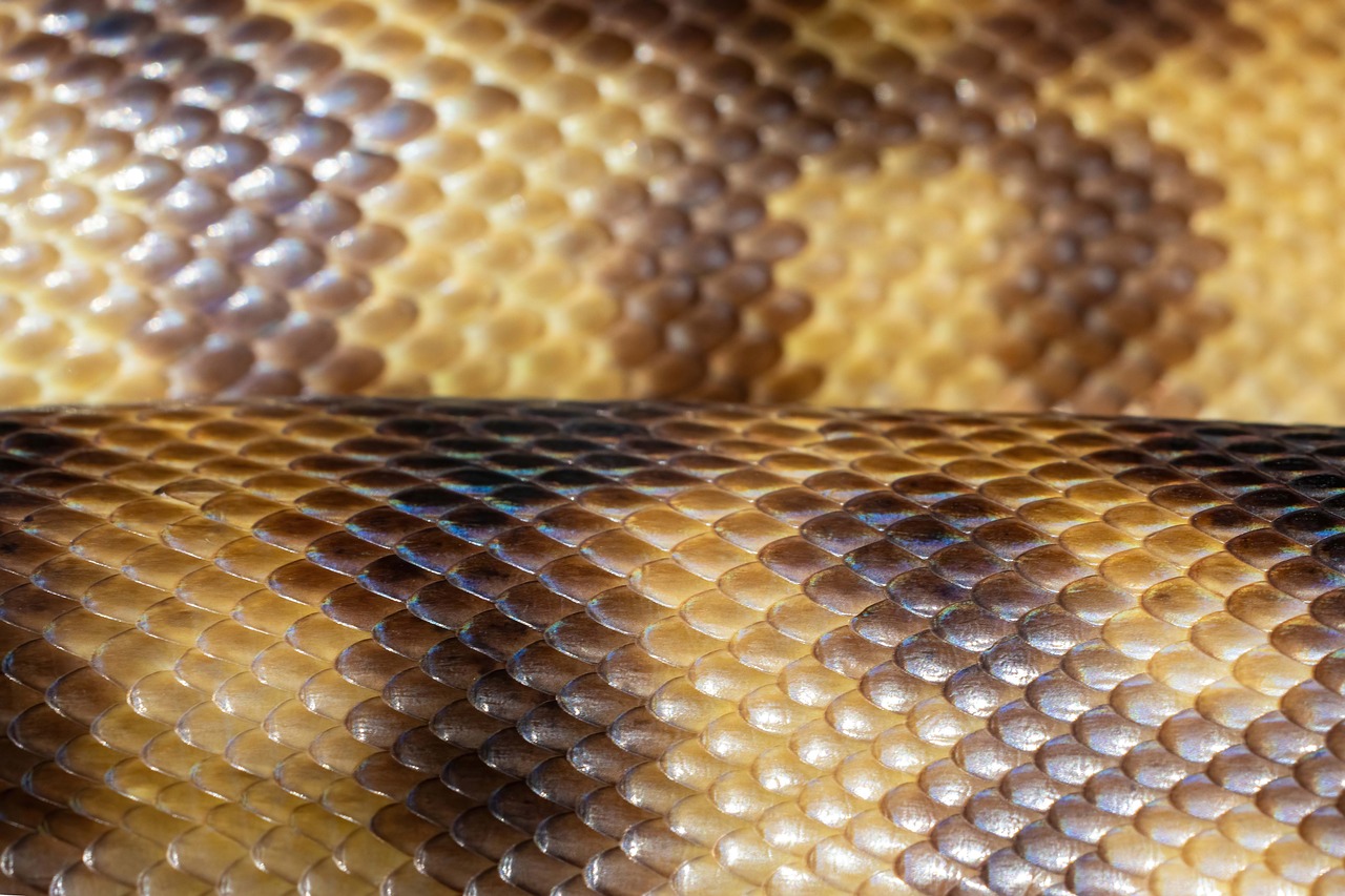 Machine Learning Using Python: Your 2026 Guide to Practical AI