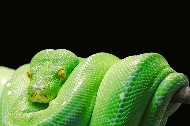 Screenshot of a Python Full Stack project demonstrating a user interface and data interaction