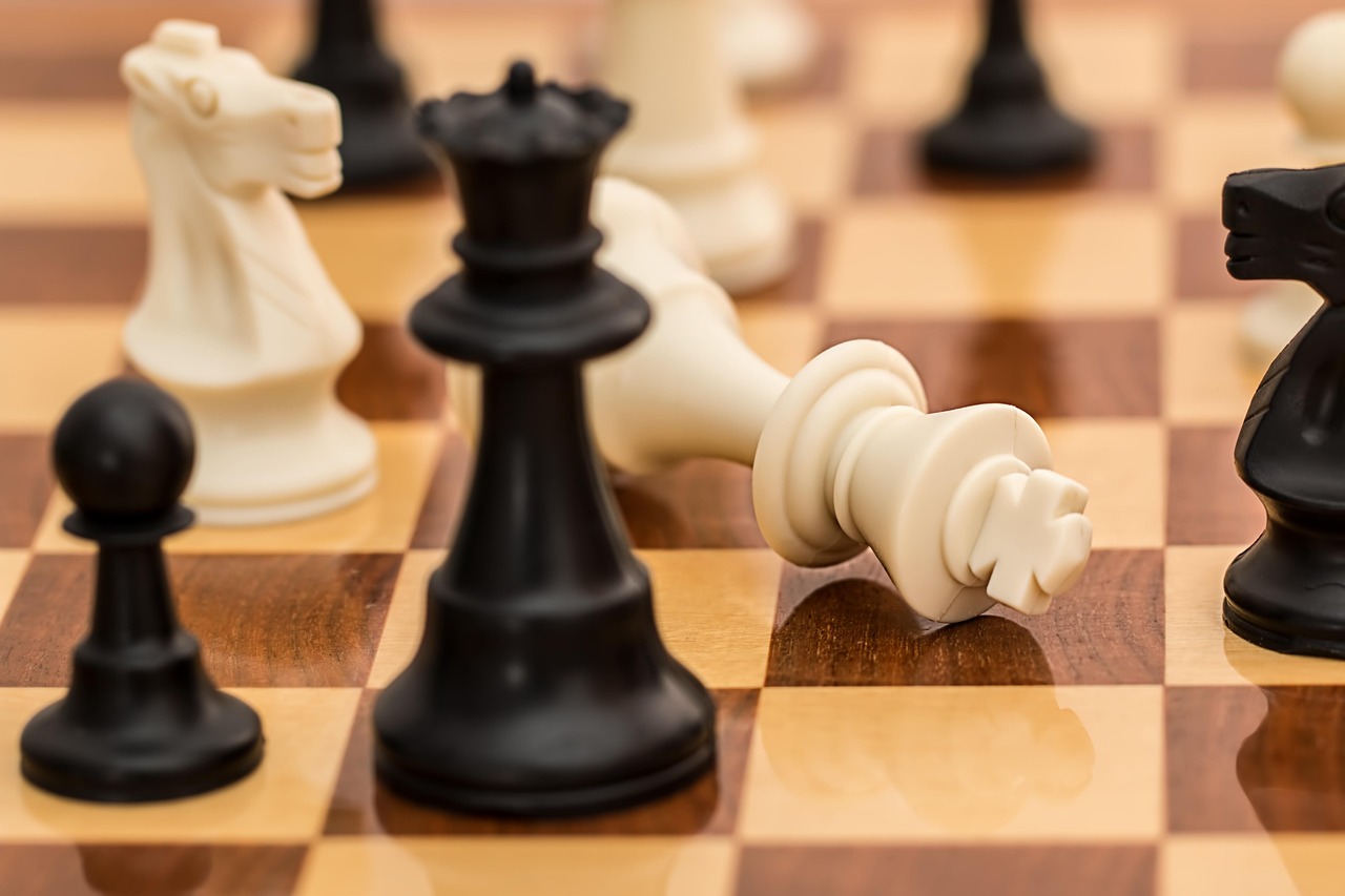 Whitehawk Ventures and Touch of Modern: A Brand Evolution Guide