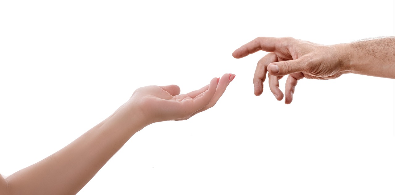 Whitehawk Ventures and Touch of Modern: A Brand Evolution Guide