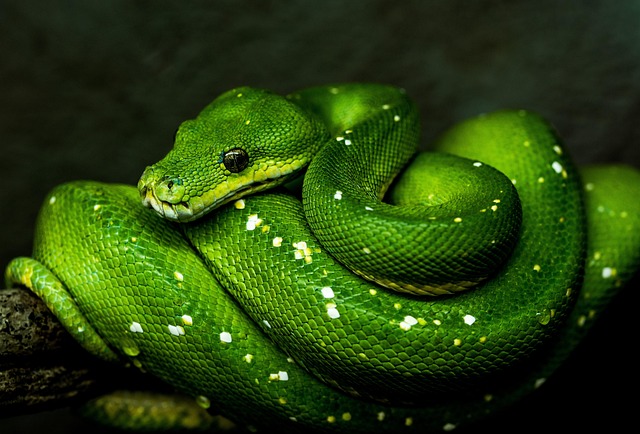 Screenshot of a Python code example from a machine learning book demonstrating model training